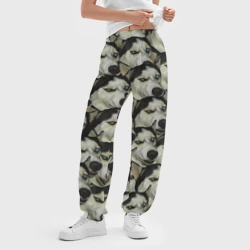 Женские джоггеры оверсайз 3D Хаски хитрый паттерн - фото 2