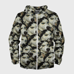 Мужская ветровка 3D Хаски хитрый паттерн