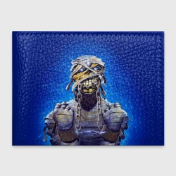 Обложка для студенческого билета Iron Maiden 7