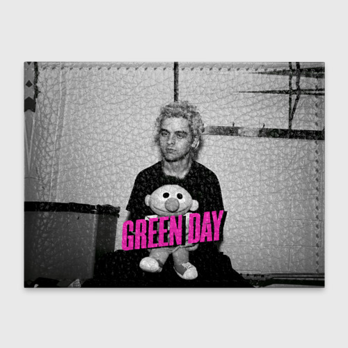 Обложка для студенческого билета Green Day