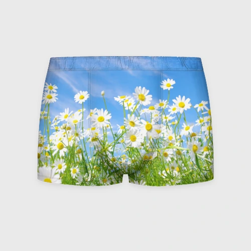 Ромашки Мужские трусы 3D с принтом за 1025 ₽ купить в интернет-магазине -  917017