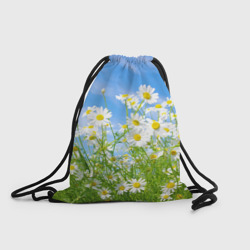 Рюкзак-мешок 3D Ромашки