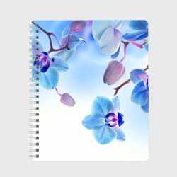 Тетрадь Голубая орхидея