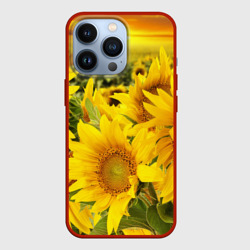 Чехол для iPhone 13 Pro Подсолнухи
