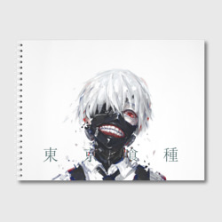 Альбом для рисования Tokyo Ghoul