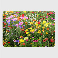 Картхолдер с принтом Полевые цветы луговые  - фото 2