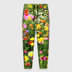 Мужские брюки 3D Полевые цветы луговые 