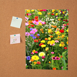 Постер Полевые цветы луговые  - фото 2