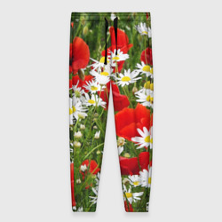 Женские брюки 3D Полевые цветы  маки и ромашки