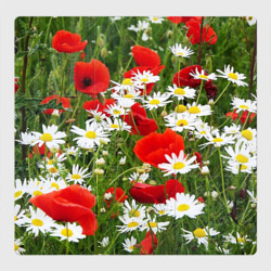 Магнитный плакат 3Х3 Полевые цветы  маки и ромашки