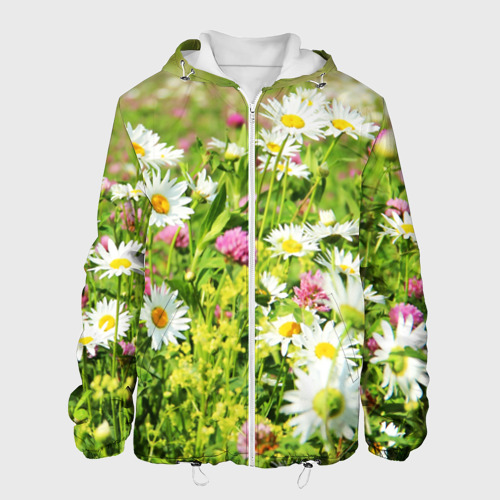 Мужская куртка 3D Полевые цветы - луговые , цвет 3D печать
