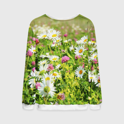 Мужской свитшот 3D Полевые цветы - луговые , цвет белый - фото 2