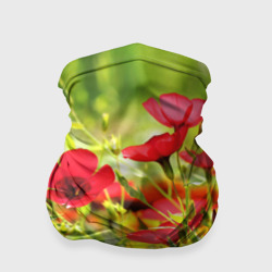 Бандана-труба 3D Полевые цветы - маки