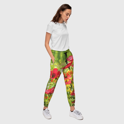 Женские брюки 3D Полевые цветы - маки - фото 5