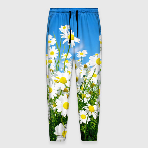 Мужские брюки 3D Полевые цветы - ромашки