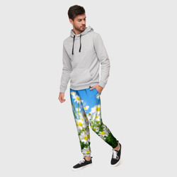 Мужские брюки 3D Полевые цветы - ромашки - фото 2