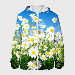 Мужская куртка 3D Полевые цветы - ромашки