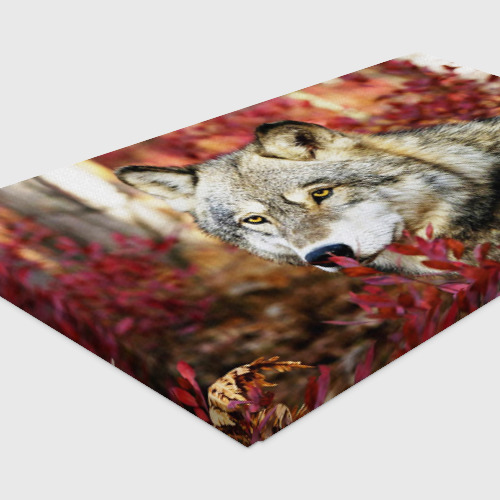 Холст прямоугольный Волк осенний лес, цвет 3D печать - фото 4