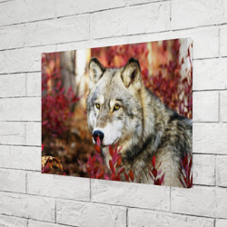 Холст прямоугольный Волк осенний лес - фото 2