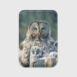 Картхолдер Magsafe магнитный Сова с птенцами на пеньке