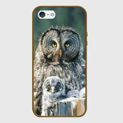 Чехол для iPhone 5/5S матовый Сова с птенцами на пеньке