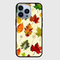 Чехол для iPhone 13 Pro Осень