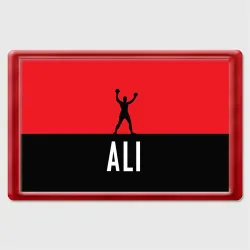 Магнит 45*70 Muhammad Ali 3