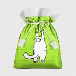 Подарочный 3D мешок Simon's cat 3