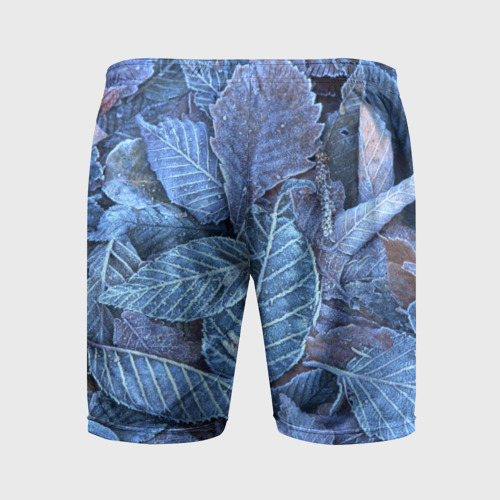 Мужские шорты спортивные Застывшие листья, цвет 3D печать - фото 2