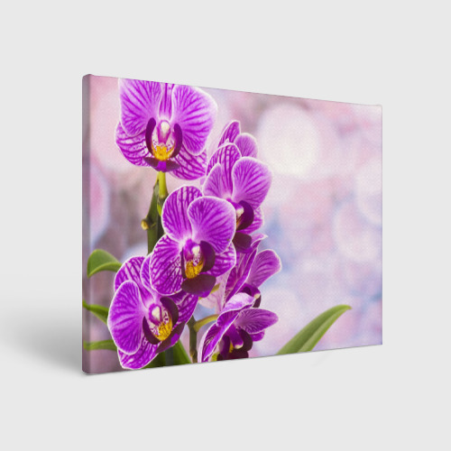 Картина Божественная орхидея (холст, прямоугольная)