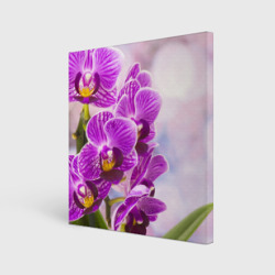 Холст квадратный Божественная орхидея