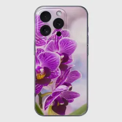 Чехол для iPhone 16 Pro силиконовый с защитой камеры Божественная орхидея