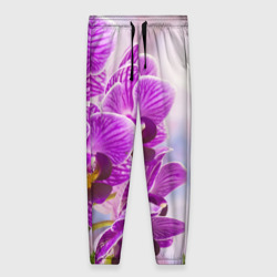 Женские брюки 3D Божественная орхидея