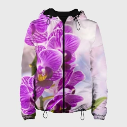 Божественная орхидея