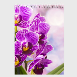 Скетчбук Божественная орхидея