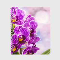 Тетрадь Божественная орхидея