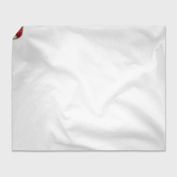 Плед с принтом Любимые ягоды для любого человека, вид спереди №4. Цвет основы: 3d (велсофт)