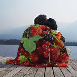 Плед с принтом Любимые ягоды для любого человека, вид спереди №3. Цвет основы: 3d (велсофт)