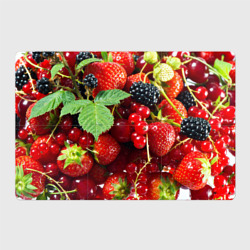 Магнитный плакат 3Х2 Любимые ягоды
