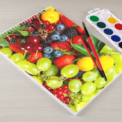 Альбом для рисования Вкусные ягоды - фото 2