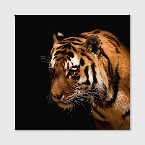 Холст квадратный Тигр, цвет 3D печать - фото 2