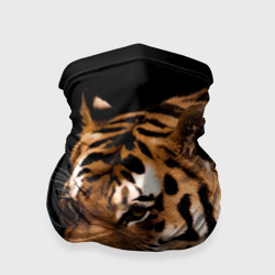 Бандана-труба 3D Тигр