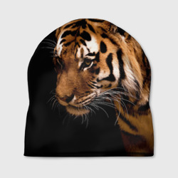 Шапка 3D Тигр