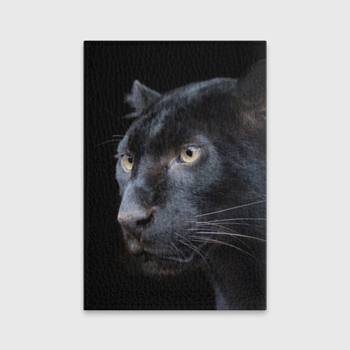Panther passport. Постер пантера. Ковер пантера. Пантера из кожи. Starexpo коврик пантера.