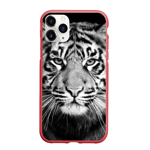 Чехол для iPhone 11 Pro матовый Красавец тигр Фото 01 Чехол для iPhone 11 Pro матовый Красавец тигр Фото 01