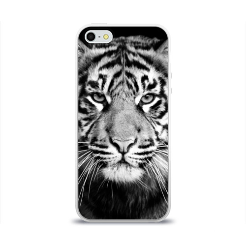 Чехол для Apple iPhone 5/5S силиконовый глянцевый Красавец тигр Фото 01 Чехол для Apple iPhone 5/5S силиконовый глянцевый Красавец тигр Фото 01