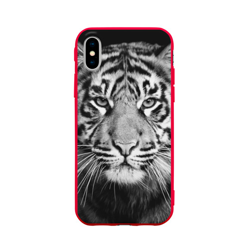 Чехол для iPhone X матовый Красавец тигр Фото 01 Чехол для iPhone X матовый Красавец тигр Фото 01