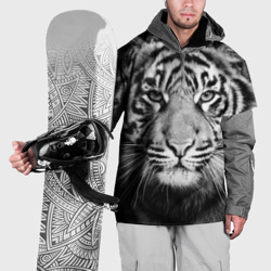 Накидка на куртку 3D Красавец тигр