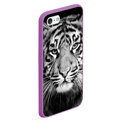 Чехол для iPhone 5/5S матовый Красавец тигр - фото 2