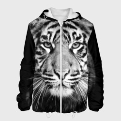 Мужская куртка 3D Красавец тигр
